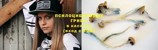 наркотики Богородицк