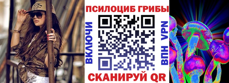 omg как войти  Астрахань  Псилоцибиновые грибы MAGIC MUSHROOMS  наркотики 